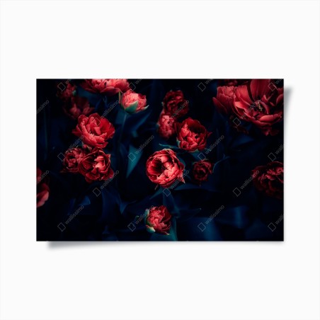 Poster moody red tulip bouquet • Wallissimo®