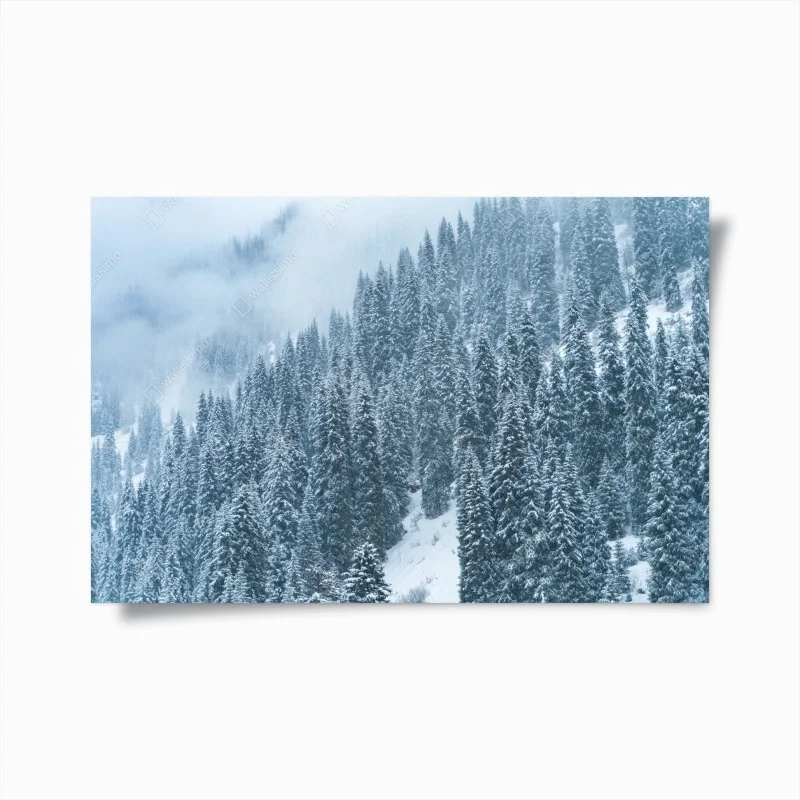 Poster misty snow-covered pine forest