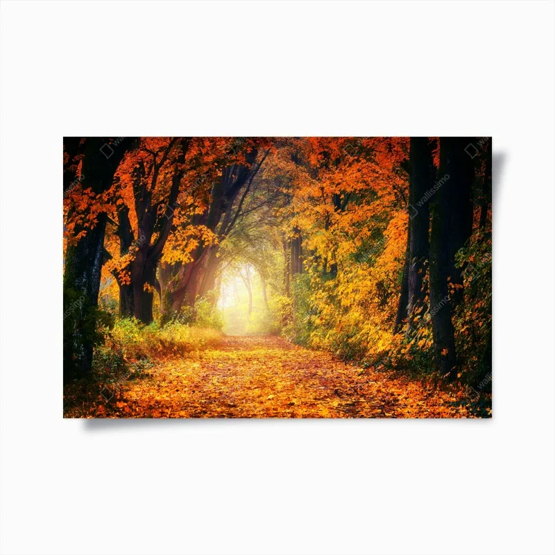 Poster autumn forest pathway at golden hour