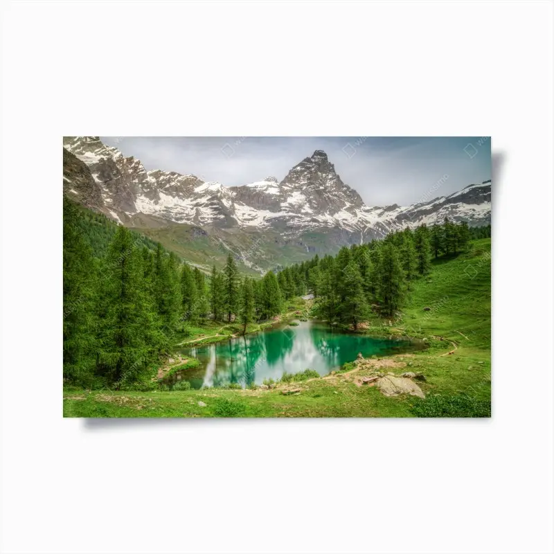 Poster • Wallissimo®