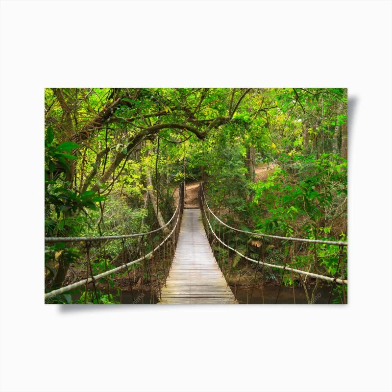 Poster suspended forest footbridge through green canopy