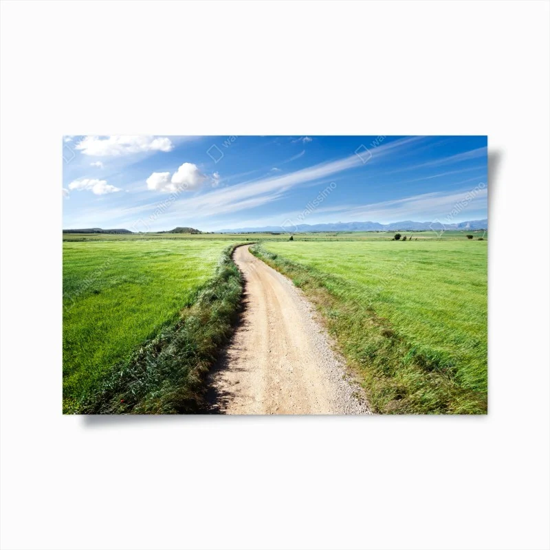 Poster winding country road through green meadows