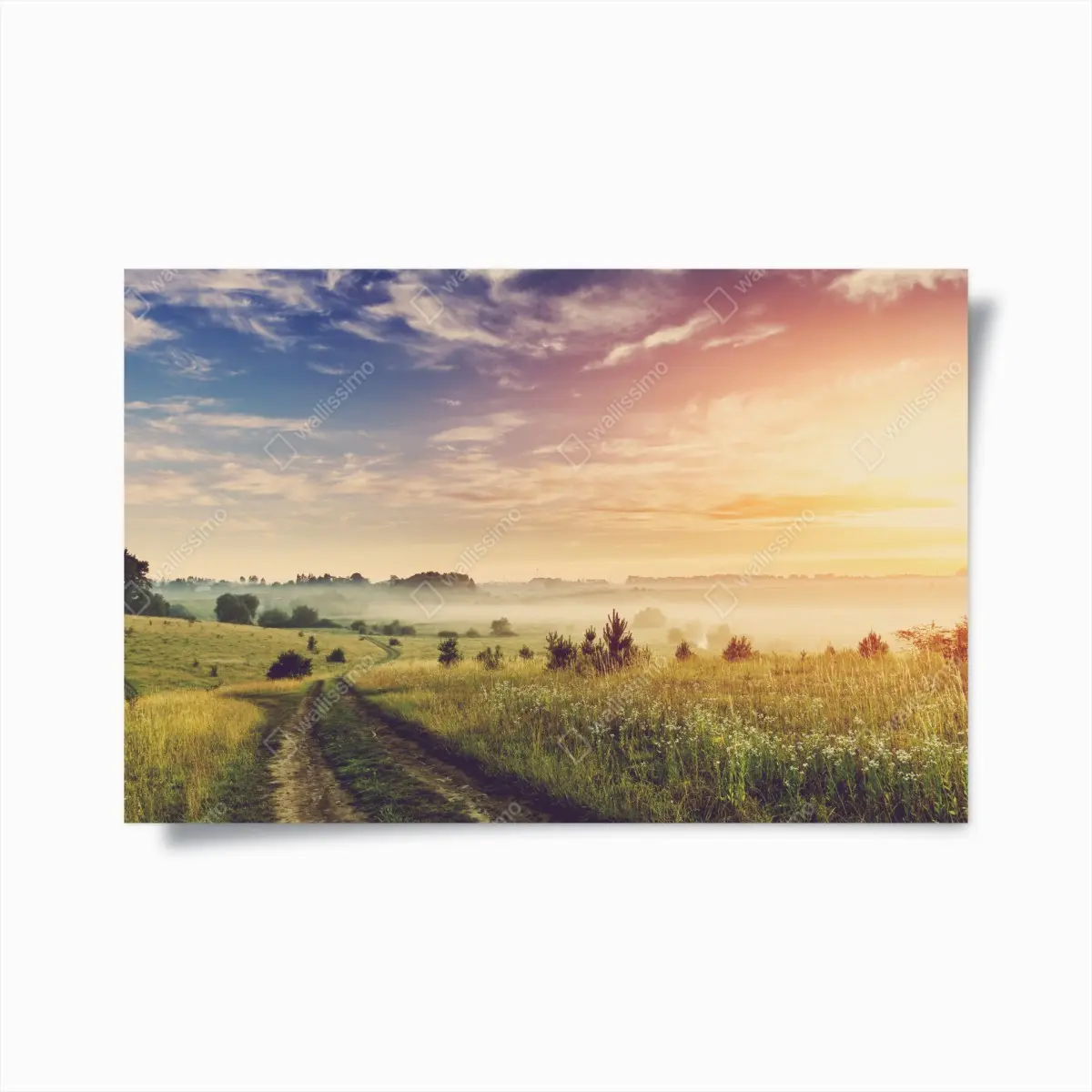 Poster misty sunrise over a rural meadow • Wallissimo® Poster misty sunrise over a rural meadow • Wallissimo®