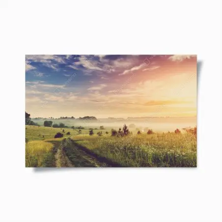 Poster misty sunrise over a rural meadow • Wallissimo®