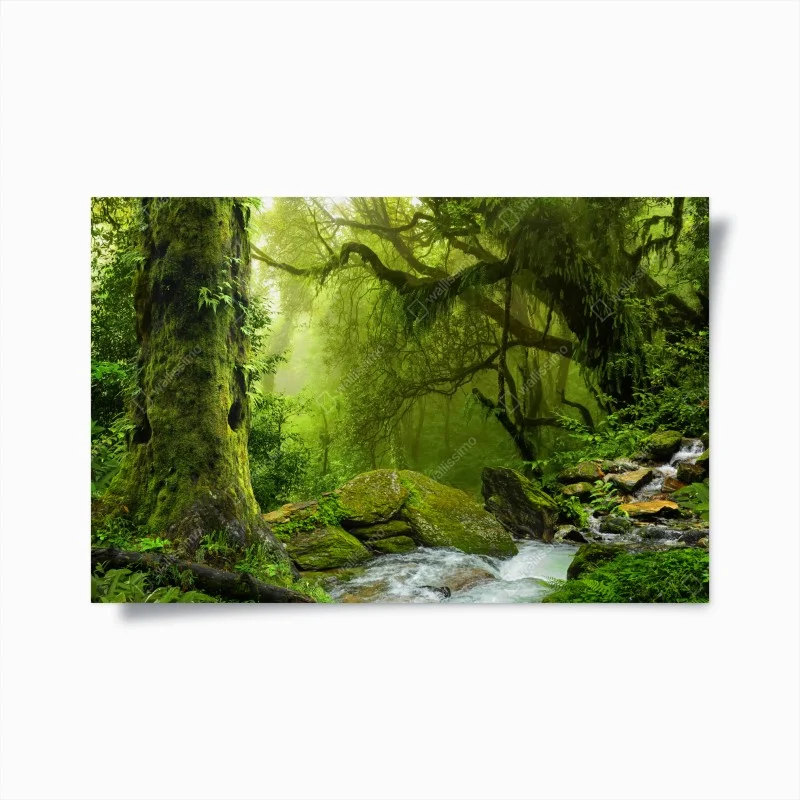Poster enchanted green forest stream