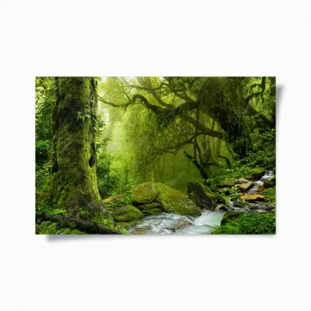 Poster enchanted green forest stream • Wallissimo®