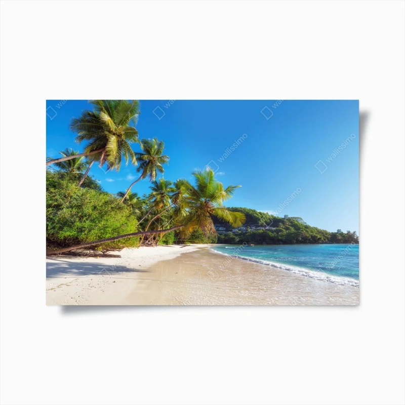 Poster tropical palm beach paradise
