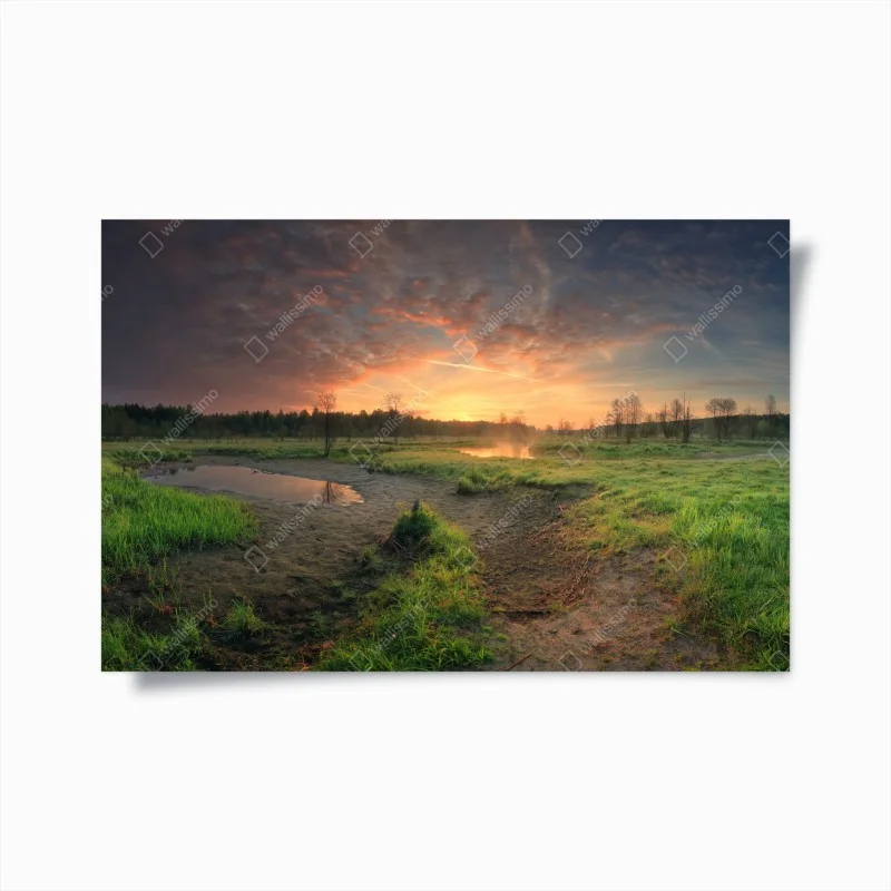 Poster sunset over a peaceful meadow