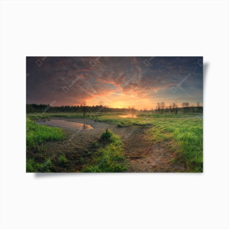 Poster sunset over a peaceful meadow • Wallissimo®