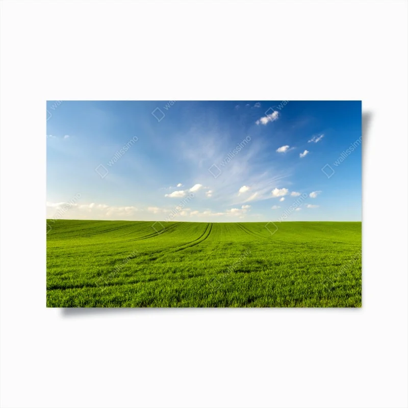 Poster spring green meadow panorama