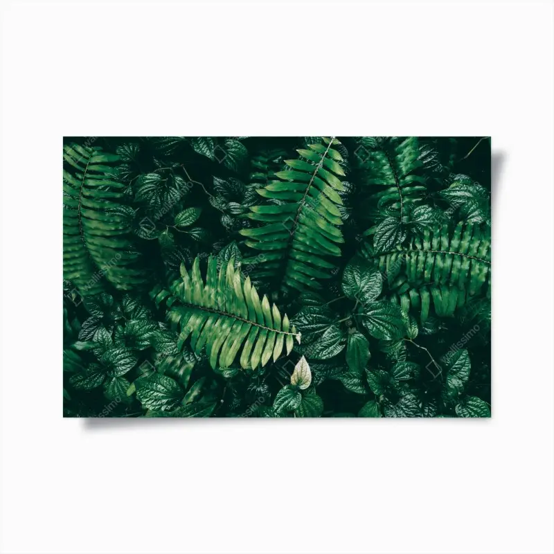 Poster lush tropical green leaves
