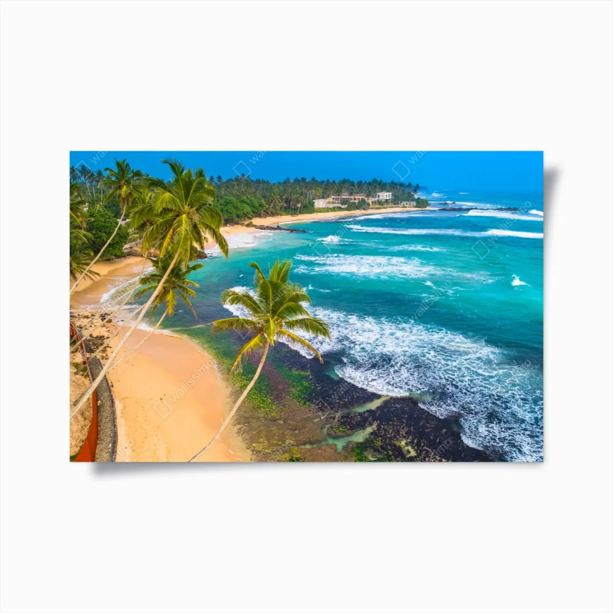 Poster turquoise tropical coastline with palm trees • Wallissimo® Poster turquoise tropical coastline with palm trees • Wallissimo®