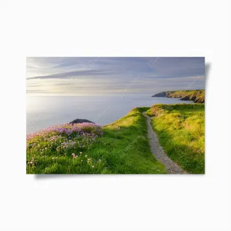 Poster Ceibwr Bay coastal path at dusk • Wallissimo®