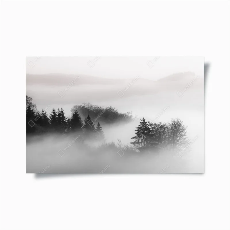 Poster misty forest in monochrome