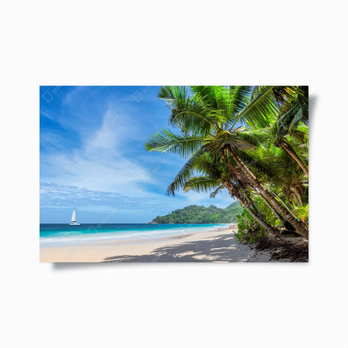 Poster tropical beach with palm trees and sailboat • Wallissimo® Poster tropical beach with palm trees and sailboat • Wallissimo®