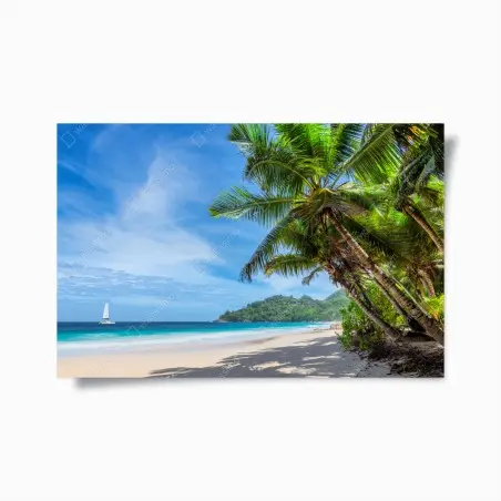 Poster tropical beach with palm trees and sailboat • Wallissimo®