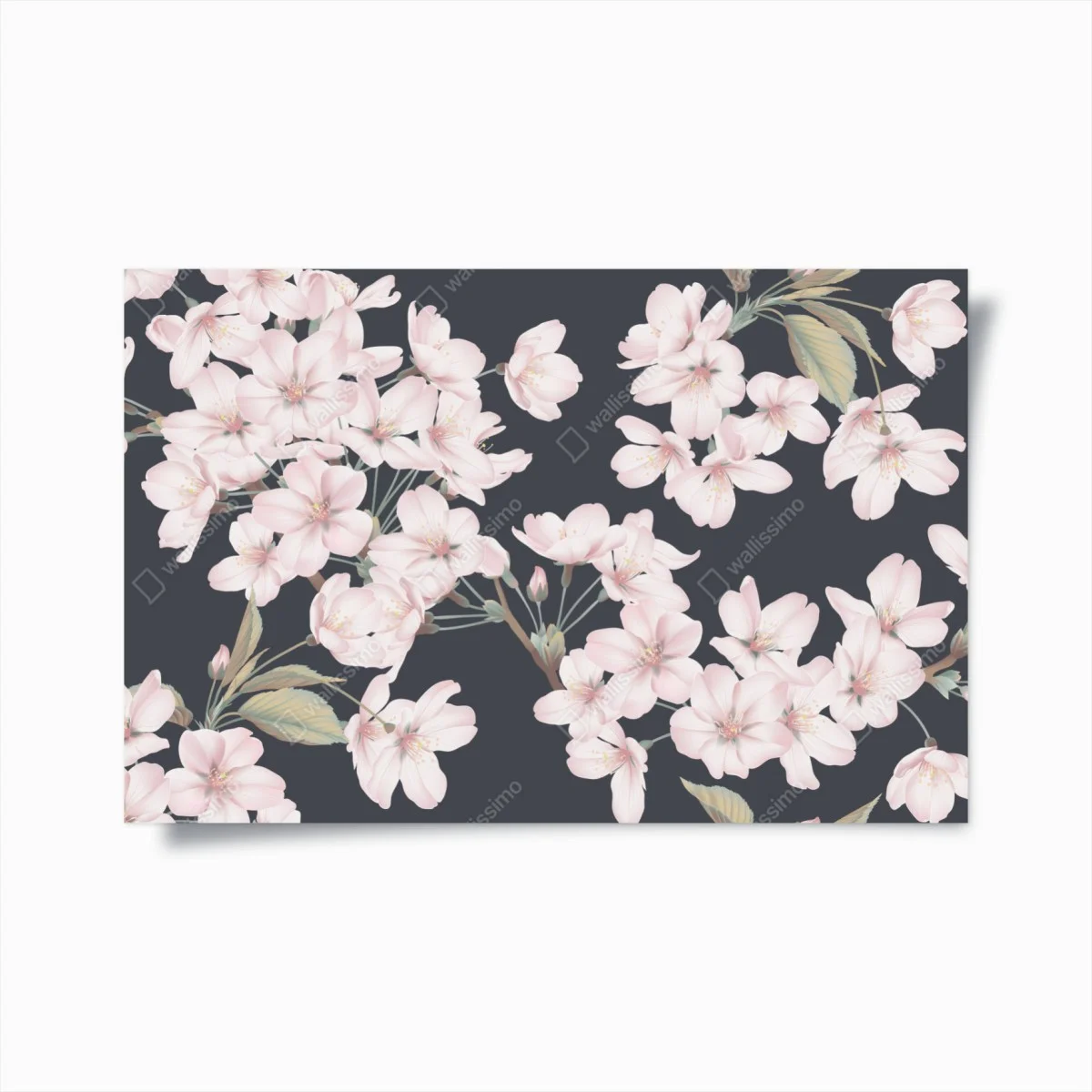 Poster delicate cherry blossom floral print ⁕ Wallissimo® Poster delicate cherry blossom floral print ⁕ Wallissimo®