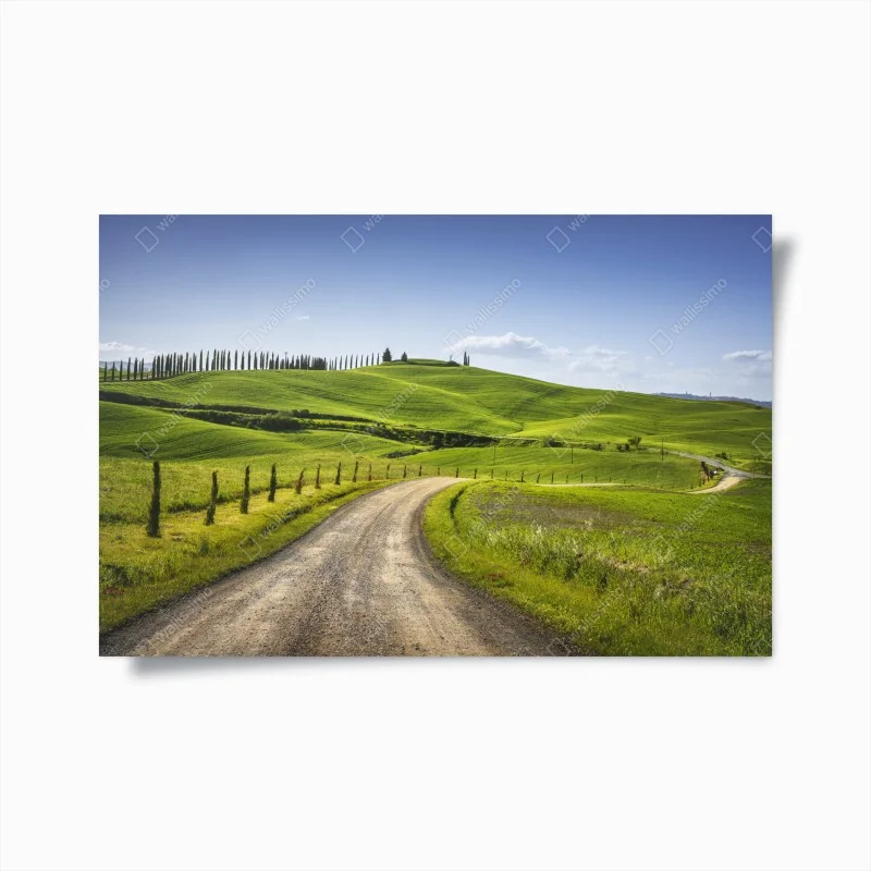 Poster Tuscany country road through rolling green hills