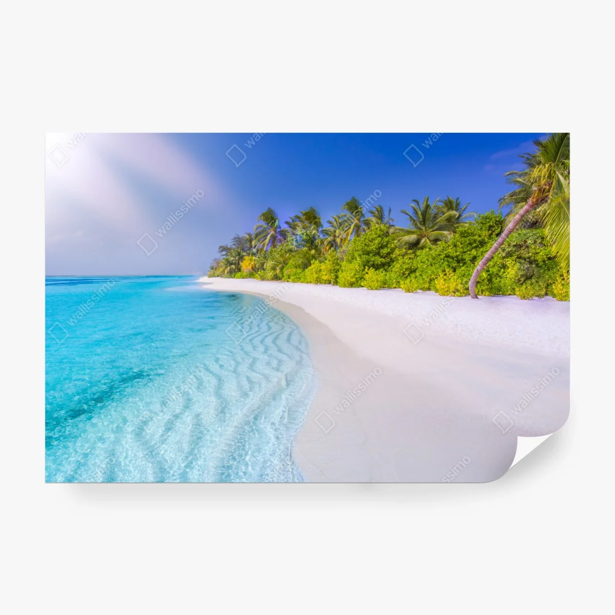Wall mural tropical turquoise beach paradise • Wallissimo® Wall mural tropical turquoise beach paradise • Wallissimo®
