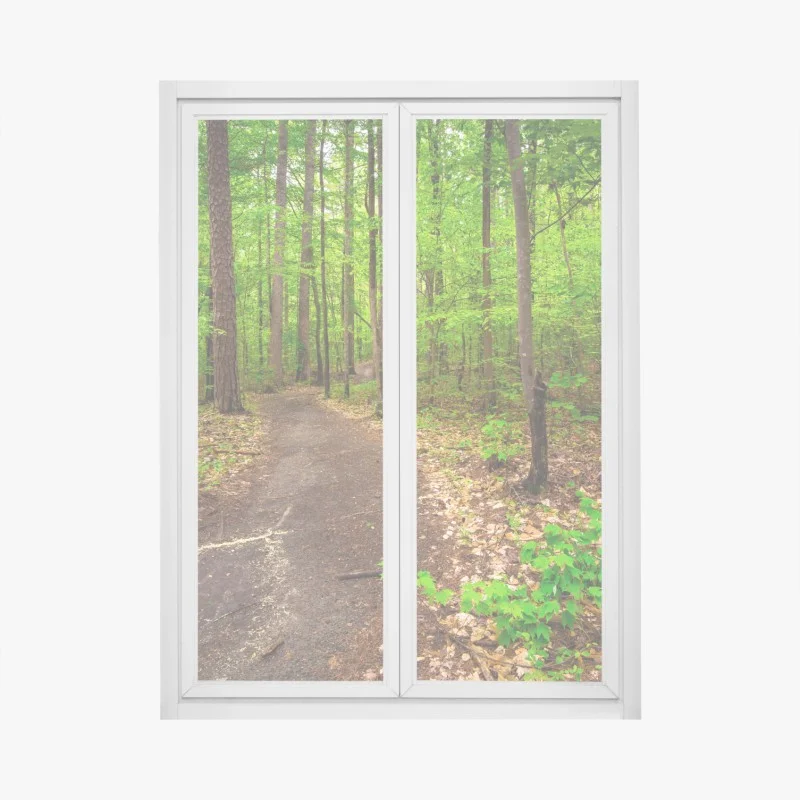 Window decal serene green forest trail