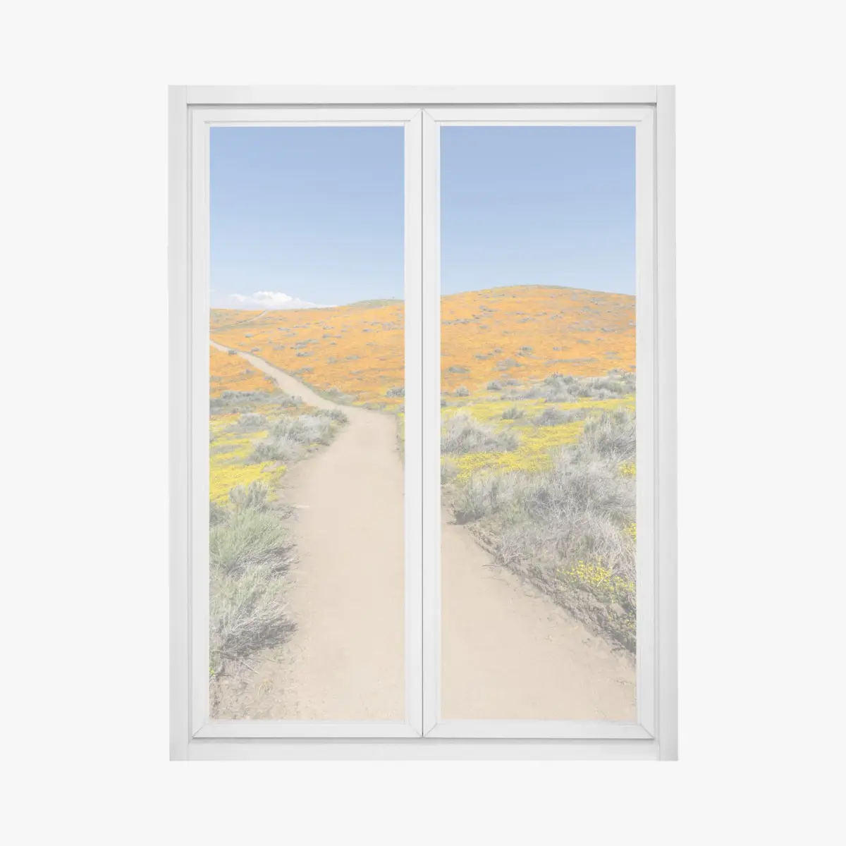 Window decal path through poppy super bloom in Southern California • Wallissimo® Window decal path through poppy super bloom in Southern California • Wallissimo®