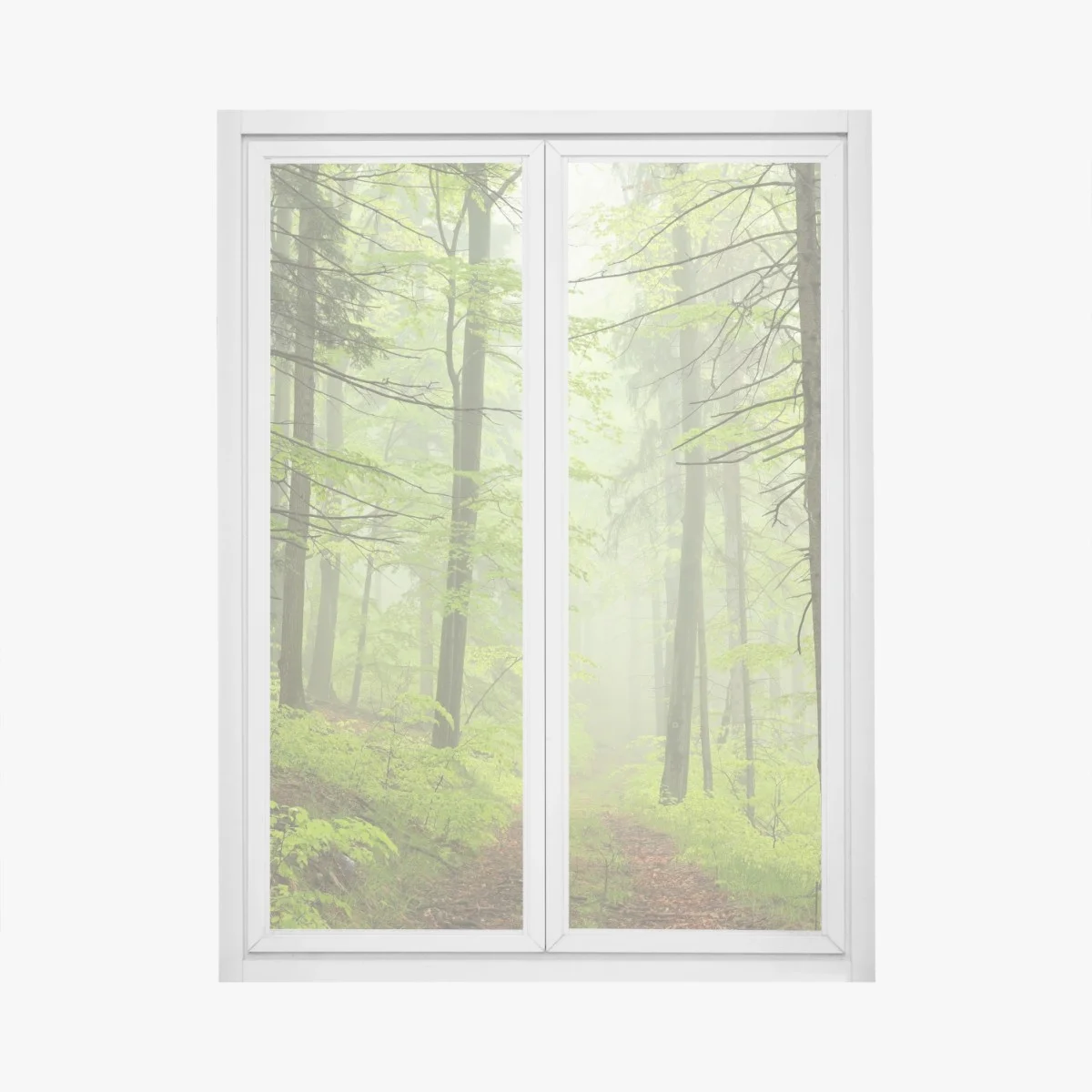 Window decal misty green forest trail ⁕ Wallissimo® Window decal misty green forest trail ⁕ Wallissimo®