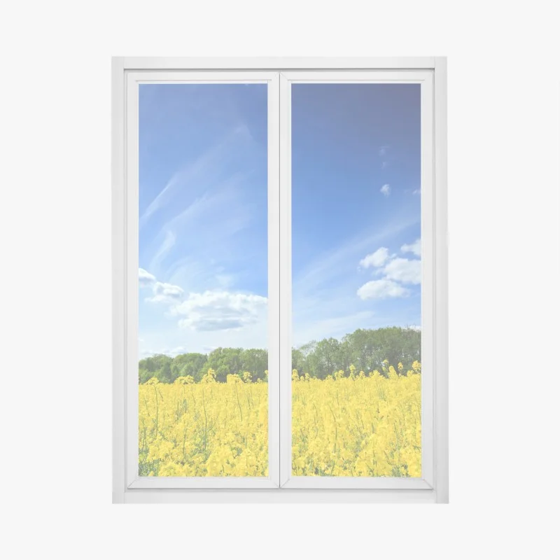 Window decal Polish rapeseed field under blue sky