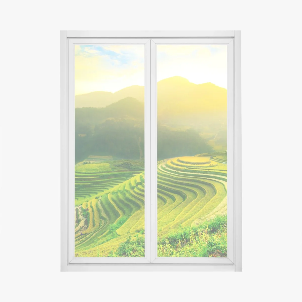Window decal golden terraced rice fields at sunrise • Wallissimo® Window decal golden terraced rice fields at sunrise • Wallissimo®