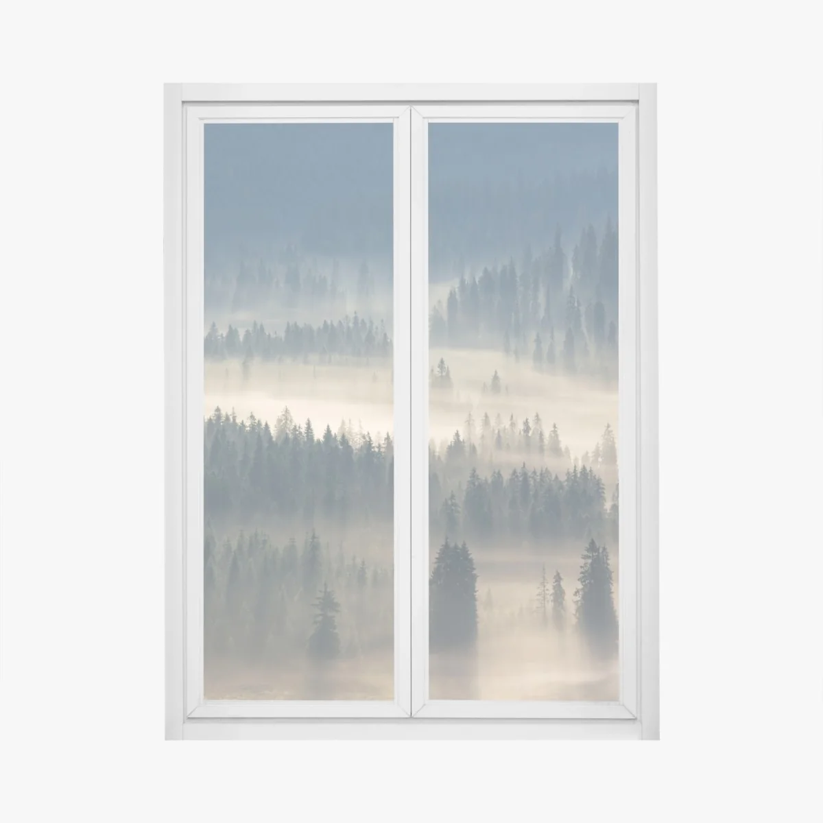 Window decal misty conifer forest at dawn • Wallissimo® Window decal misty conifer forest at dawn • Wallissimo®