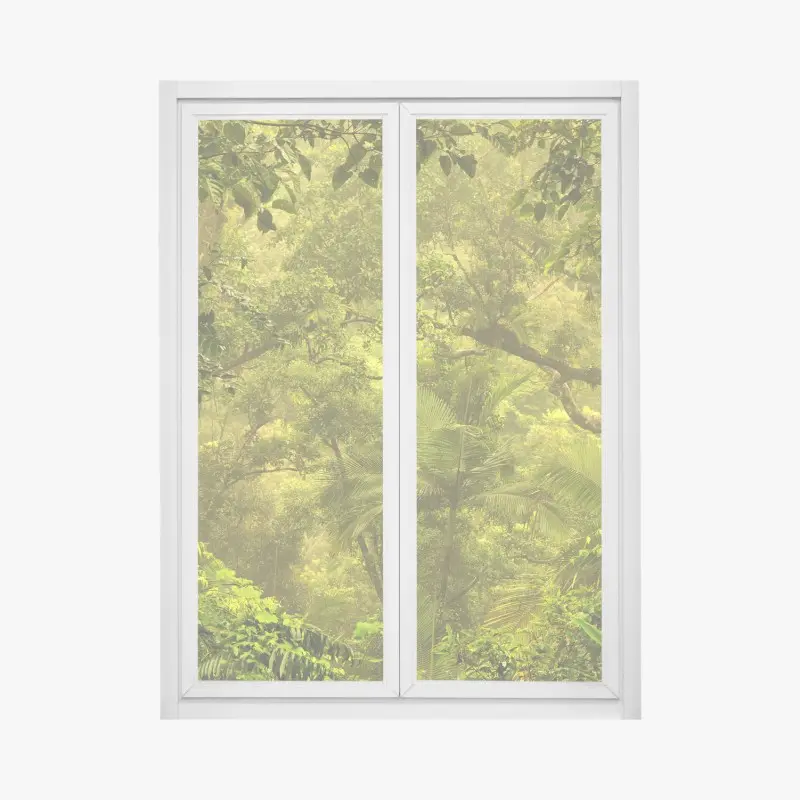 Window decal lush rainforest canopy near Cairns