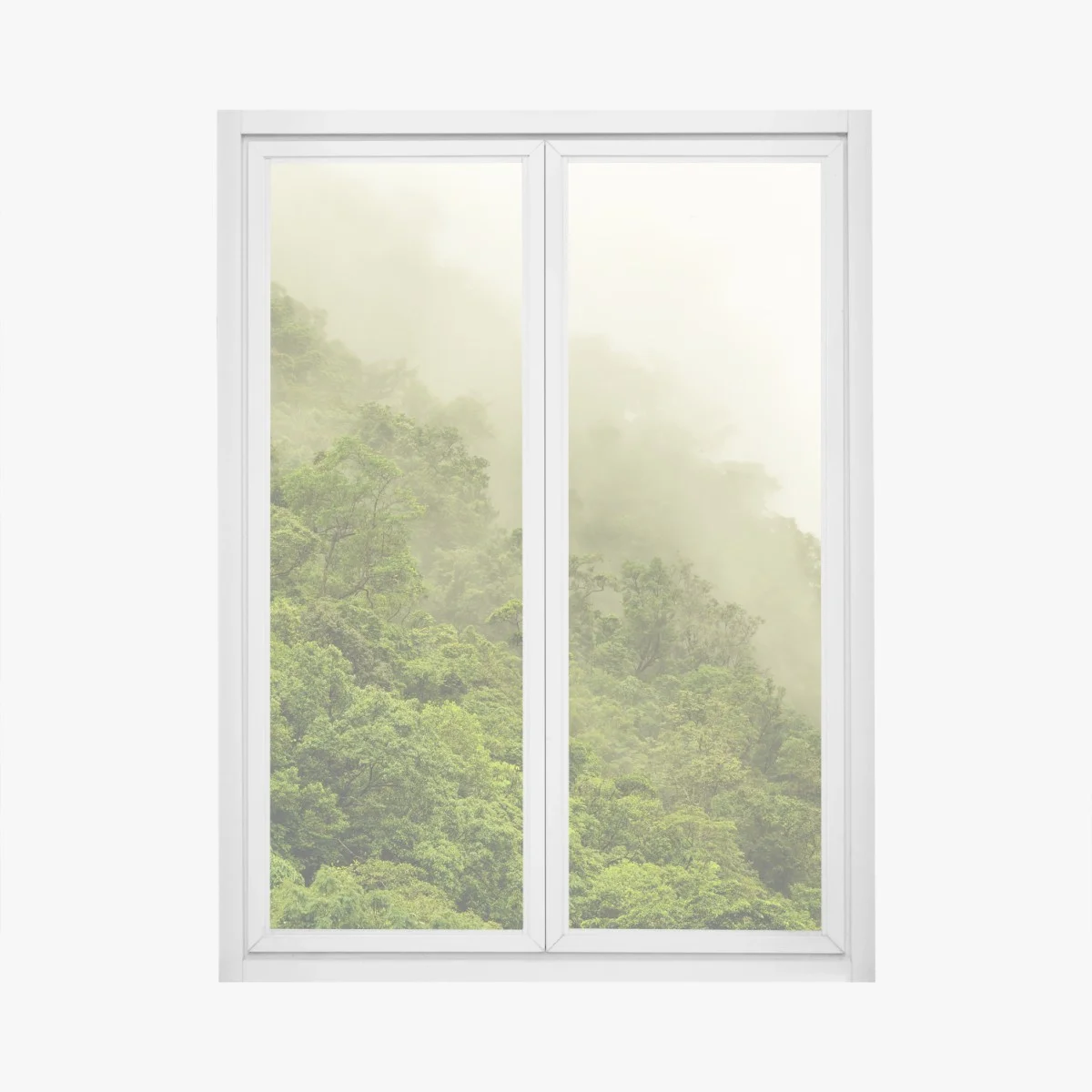 Window decal misty rainforest near Cairns • Wallissimo® Window decal misty rainforest near Cairns • Wallissimo®