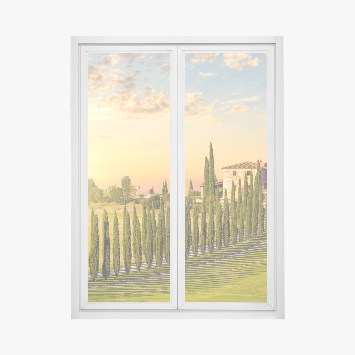 Window decal Tuscany sunset cypress avenue • Wallissimo®