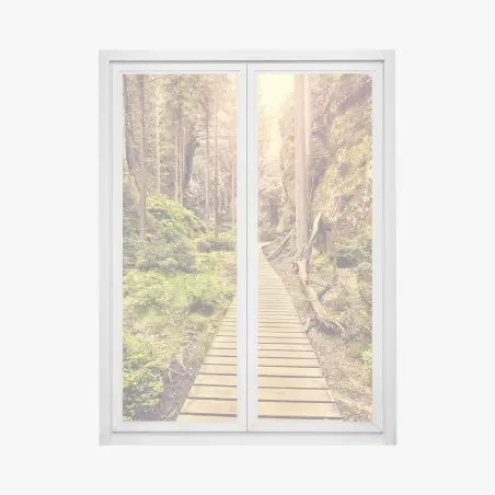 Window decal sunlit wooden path in Adrspach Teplice • Wallissimo®