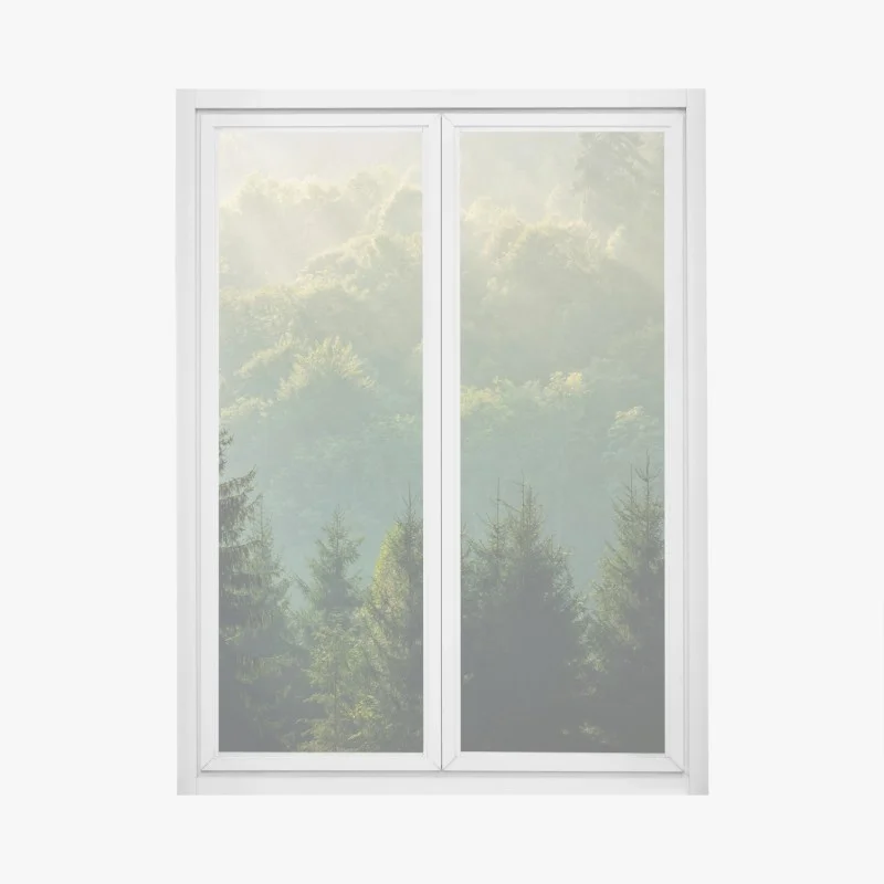 Window decal misty Carpathian spruce forest at sunrise