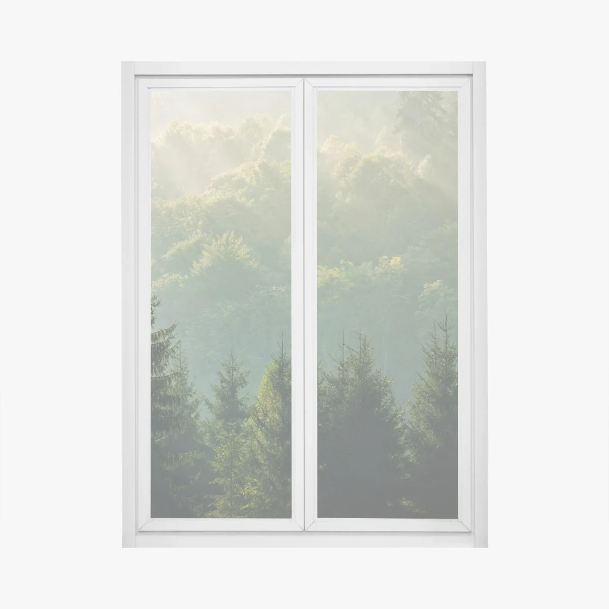 Window decal misty Carpathian spruce forest at sunrise • Wallissimo® Window decal misty Carpathian spruce forest at sunrise • Wallissimo®