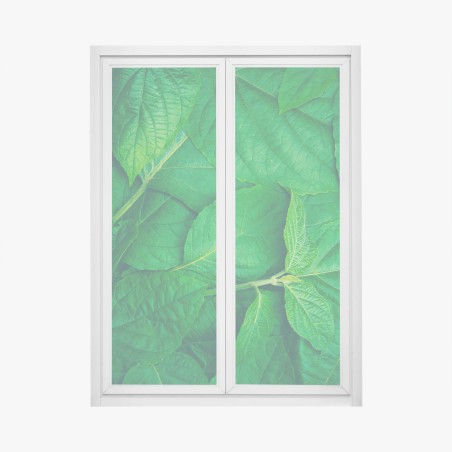 Window decal lush green leaves texture • Wallissimo®