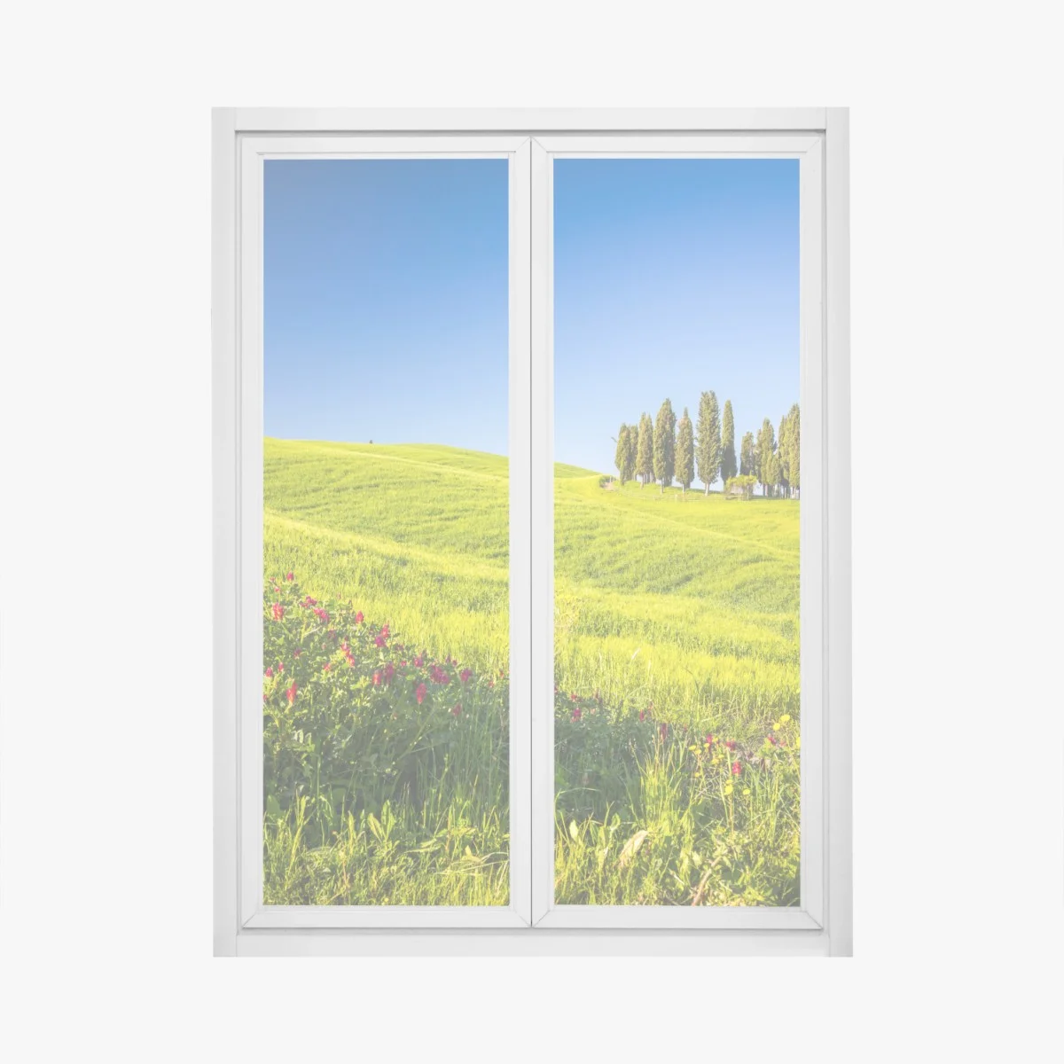 Window decal sunlit rolling green hills with cypress trees • Wallissimo® Window decal sunlit rolling green hills with cypress trees • Wallissimo®