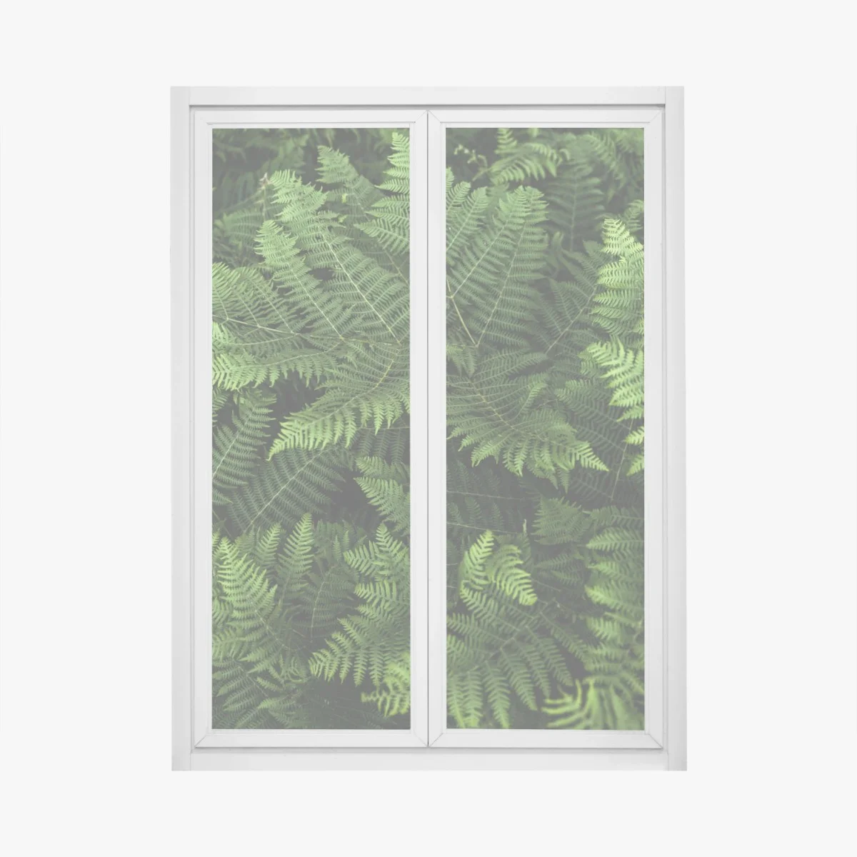 Window decal lush green fern foliage • Wallissimo® Window decal lush green fern foliage • Wallissimo®