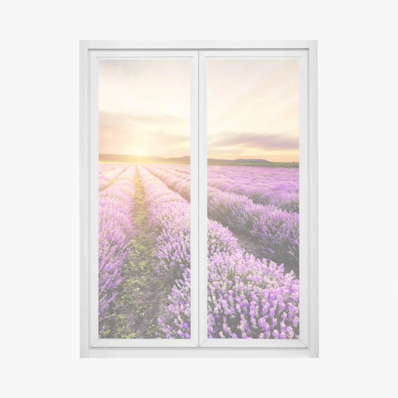 Window decal sunrise over lavender fields, Bulgaria
