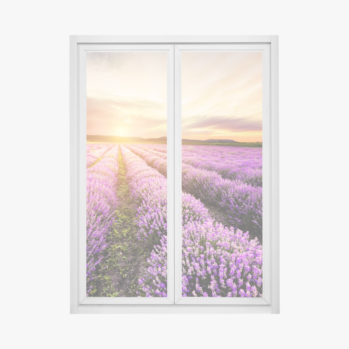 Window decal sunrise over lavender fields, Bulgaria • Wallissimo® Window decal sunrise over lavender fields, Bulgaria • Wallissimo®