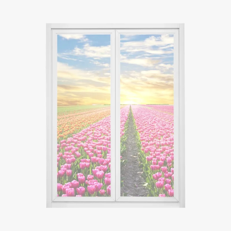 Window decal sunrise over tulip fields in Netherlands