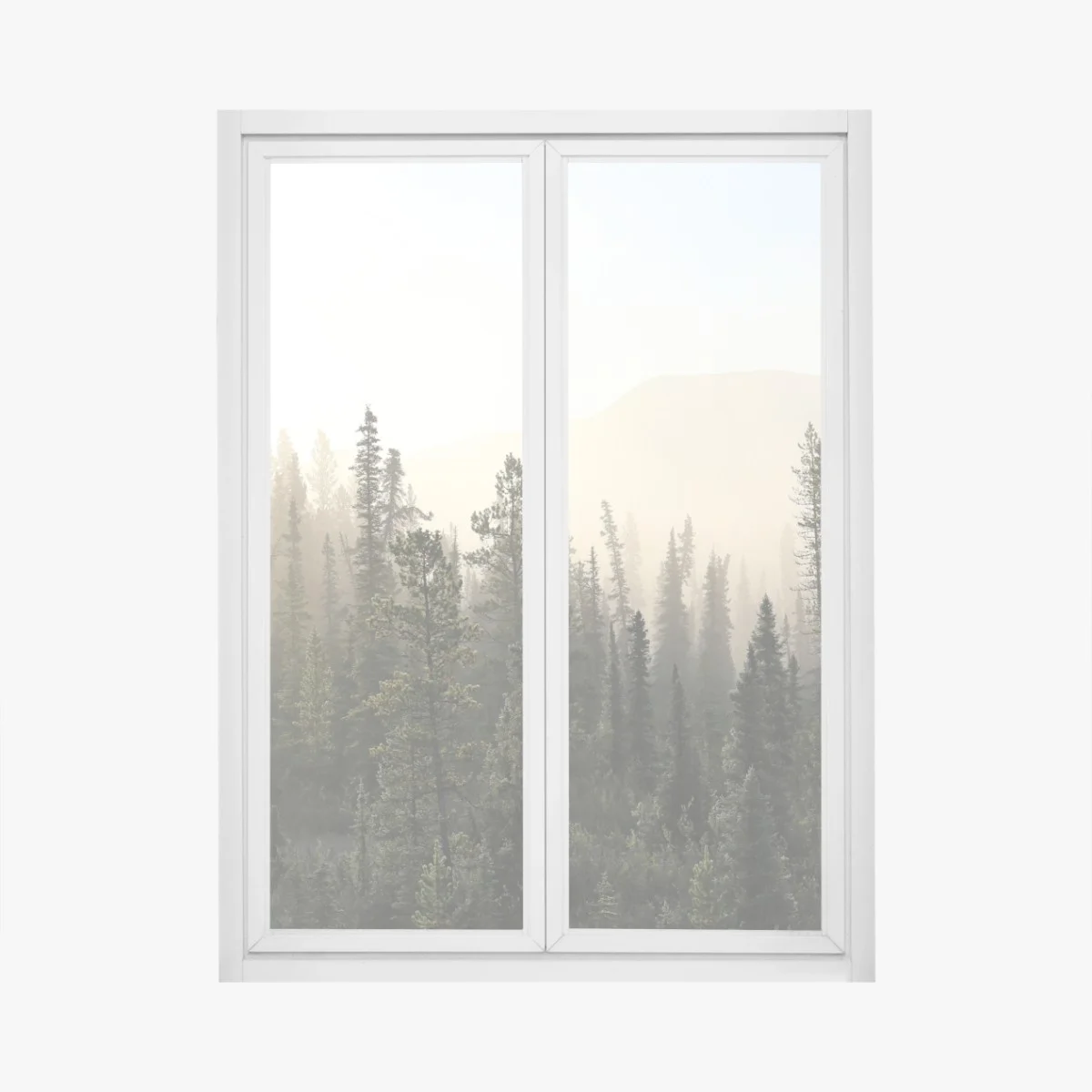 Window decal misty pine forest at sunrise • Wallissimo® Window decal misty pine forest at sunrise • Wallissimo®