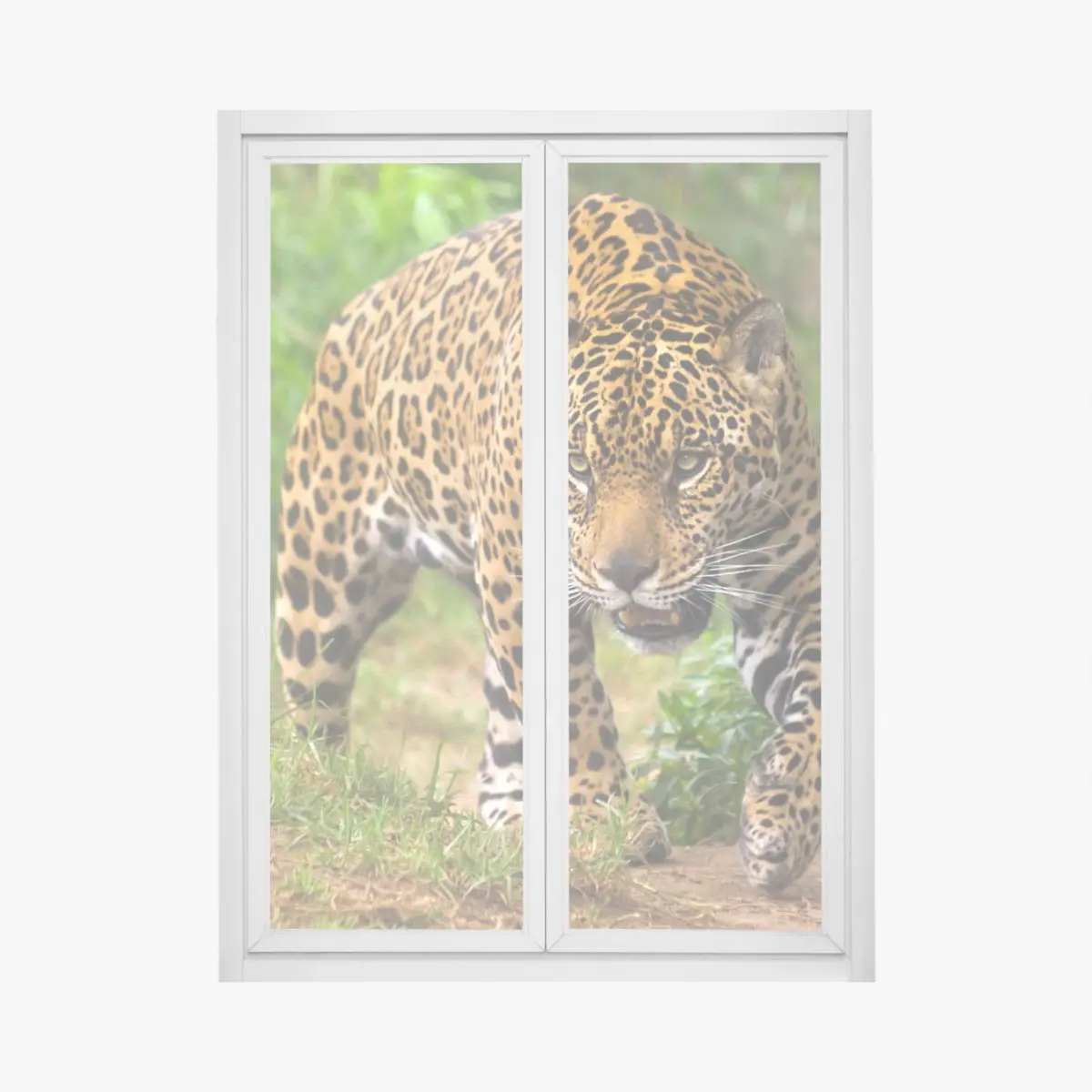 Window decal majestic jaguar in the wild ⁕ Wallissimo® Window decal majestic jaguar in the wild ⁕ Wallissimo®