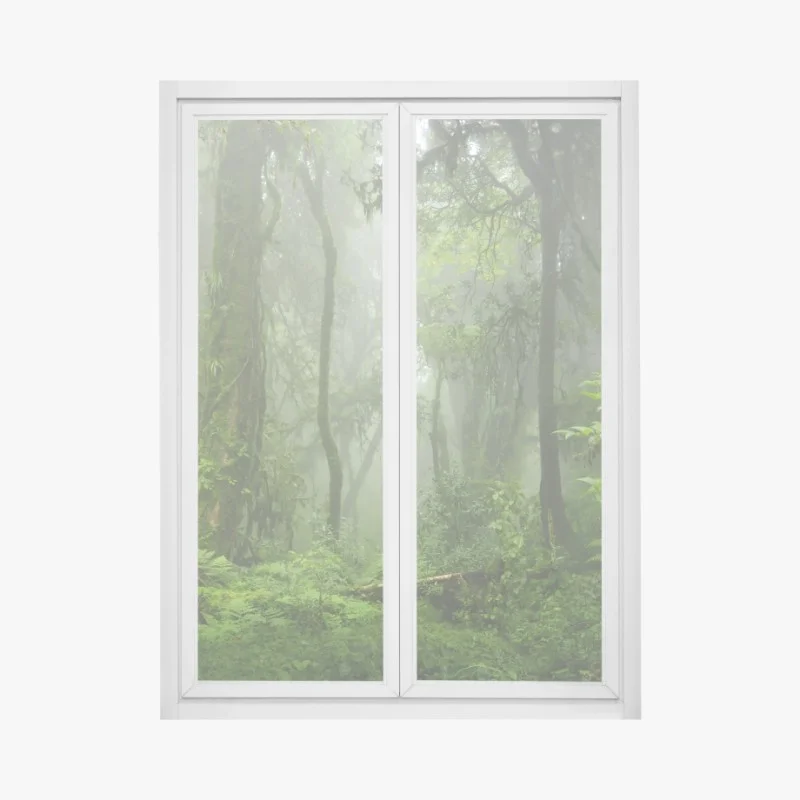 Window decal misty tropical jungle pathway