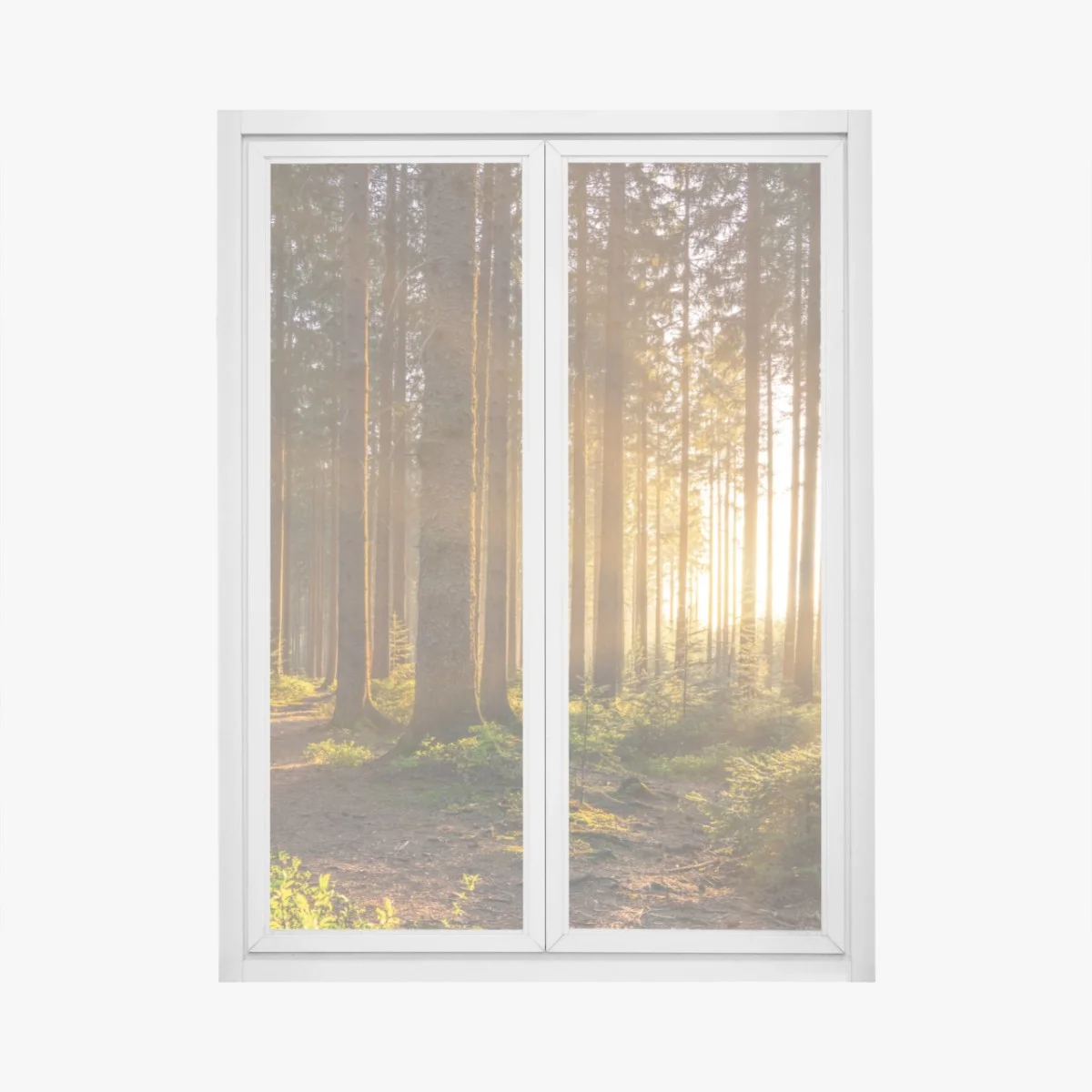Window decal sunlit forest pathway at sunrise • Wallissimo® Window decal sunlit forest pathway at sunrise • Wallissimo®