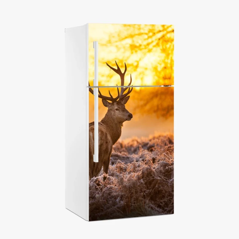 Fridge sticker golden stag at sunrise
