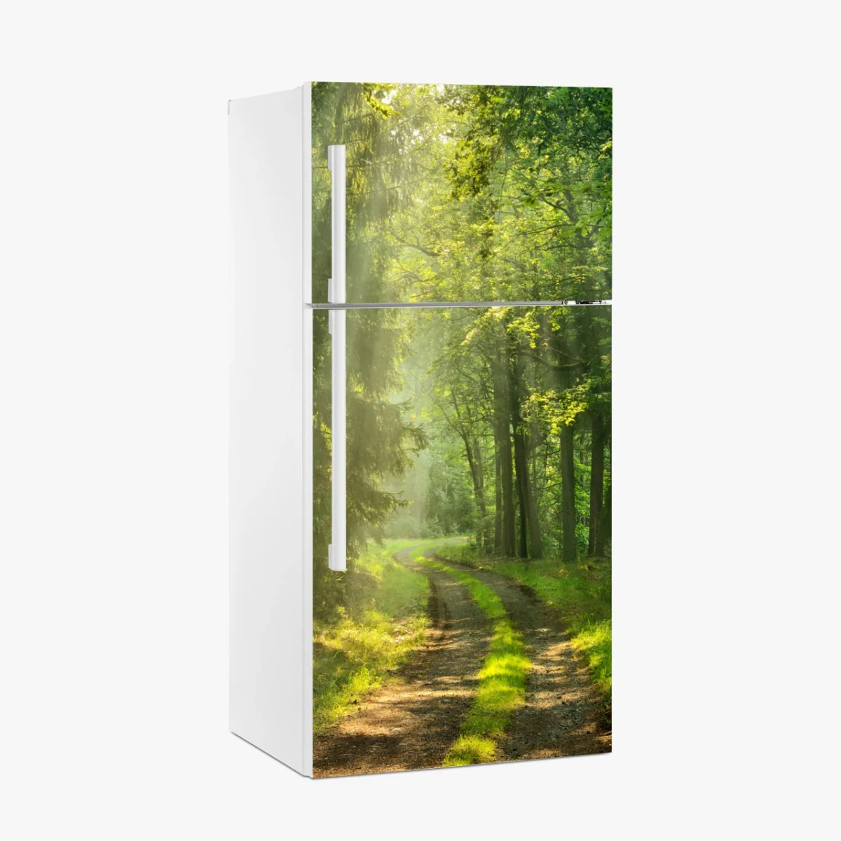 Fridge sticker sunlit forest path • Wallissimo® Fridge sticker sunlit forest path • Wallissimo®
