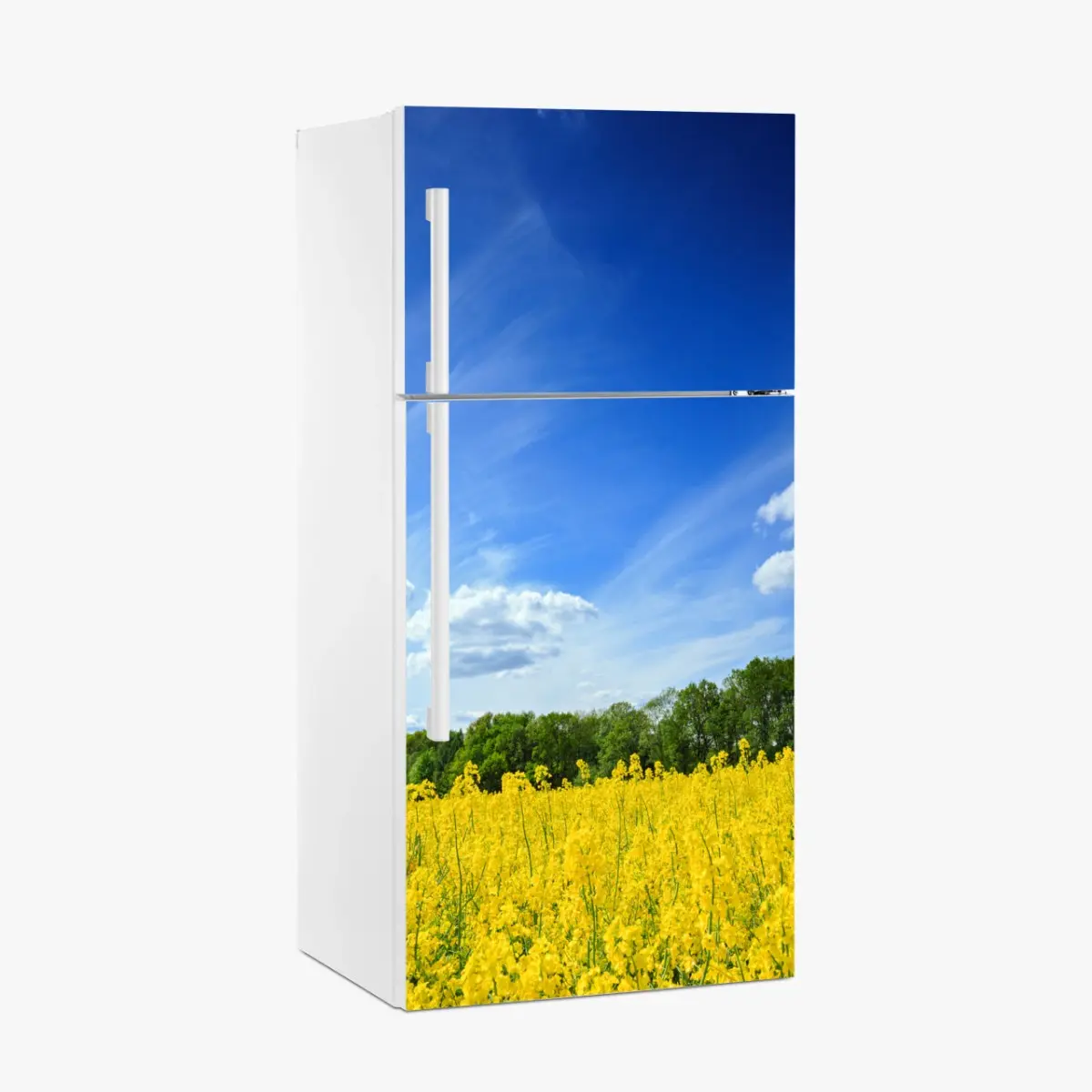Fridge sticker Polish rapeseed field under blue sky ⁕ Wallissimo® Fridge sticker Polish rapeseed field under blue sky ⁕ Wallissimo®