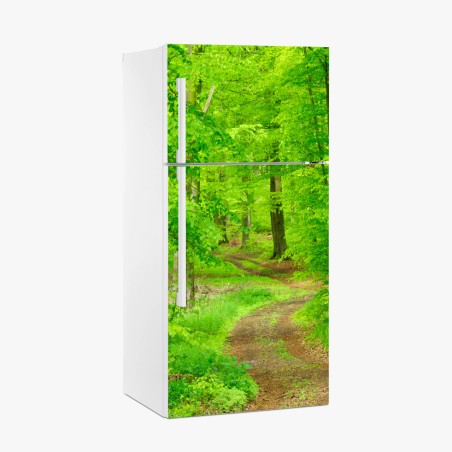 Fridge sticker serene forest path in spring • Wallissimo®