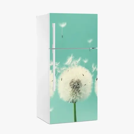 Fridge sticker three dandelion puffballs on turquoise background • Wallissimo®